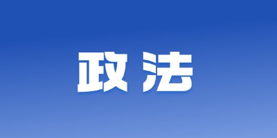 政法
